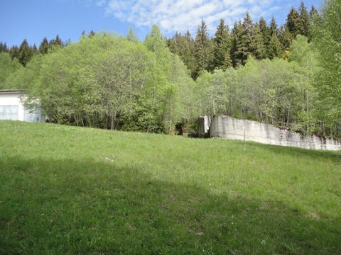 Foto 195